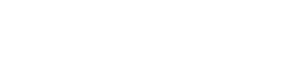 Mister Pizza